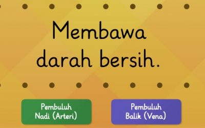 Kuis Perbedaan Antara Pembuluh Nadi dan Pembuluh Balik