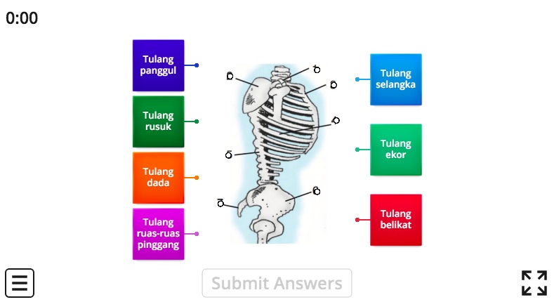 Latihan Anatomi Tulang Tubuh Manusia | Menjodohkan Label