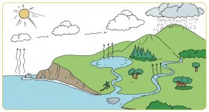Yuk Pelajari Bagaimana Proses Terjadinya Siklus Air Tanah